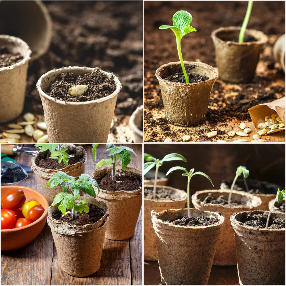 Brown JERIA peat pots on a wooden table