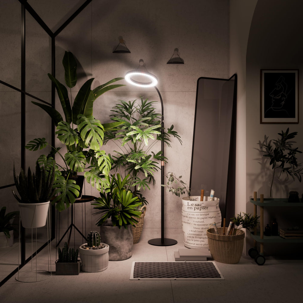 bseah Grow Light dimensions and specs on the box