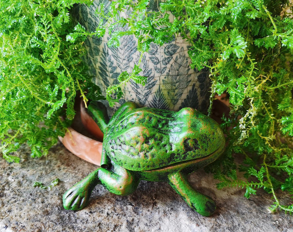BSTGIFTS Iron Frog Key Hider with key inside
