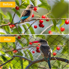 BSTPCOO Bird Nets installed over a vegetable garden