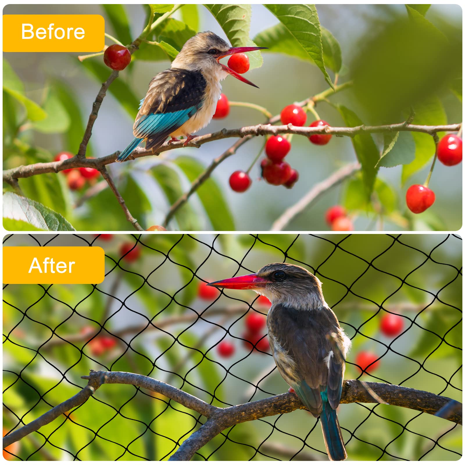 BSTPCOO Bird Netting secured around a garden