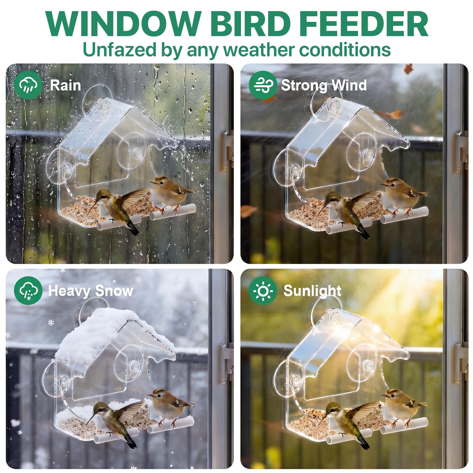 BTFSZ Window Bird Feeder with birds feeding nearby