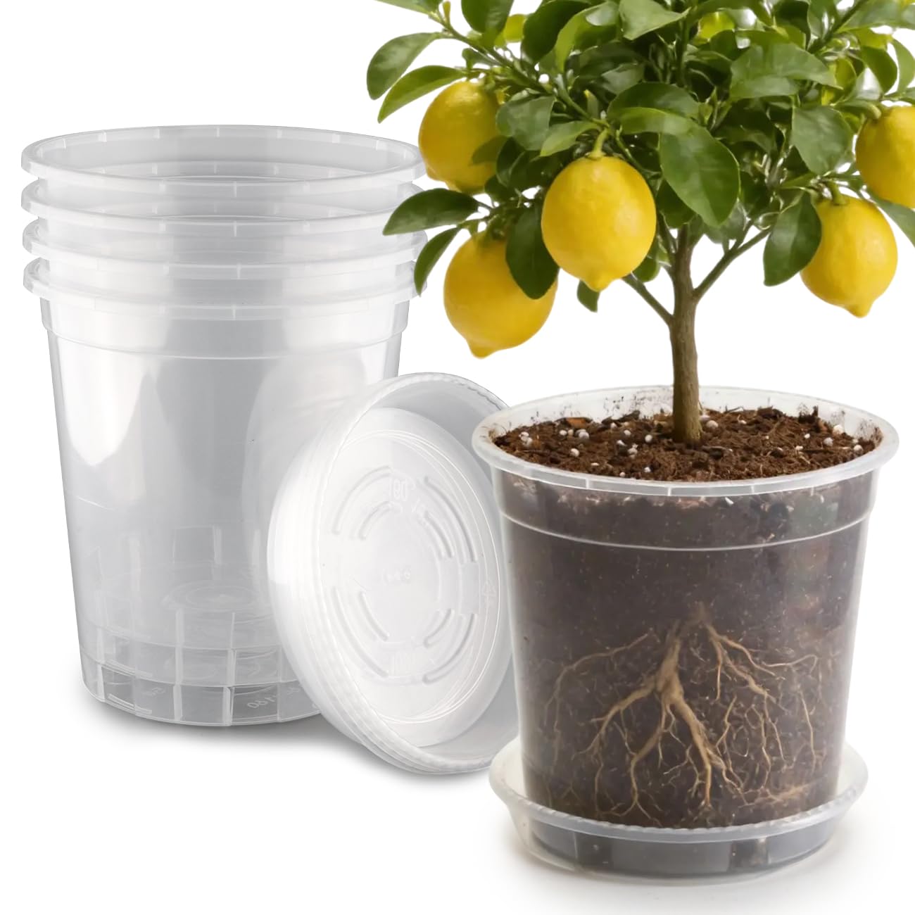 BTPLASTIK 3.5 Gallon clear nursery pot front view