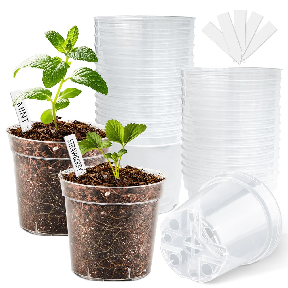 BTPLASTIK 4 inch clear nursery pots front view