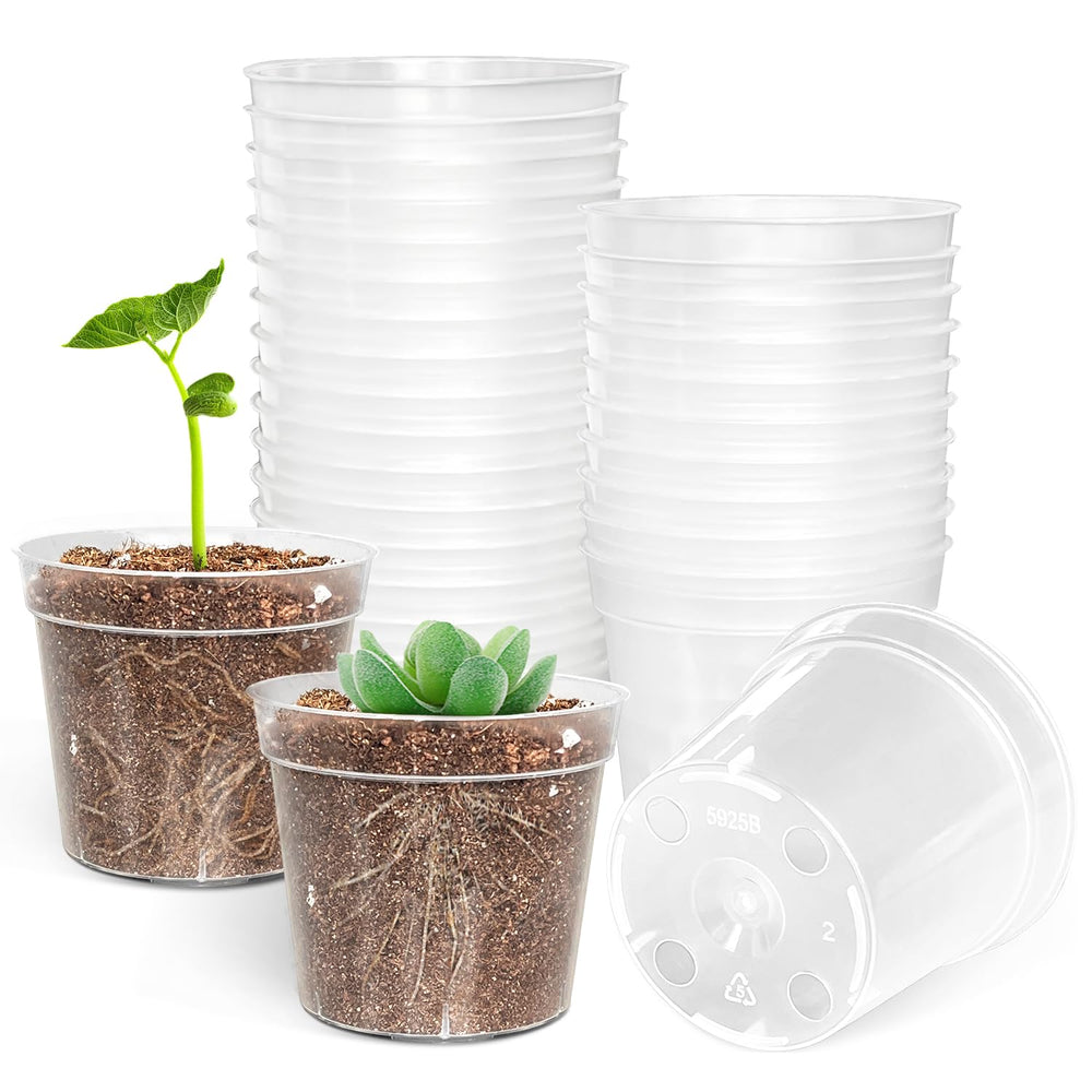 BTPLASTIK 50 pack 2.5 inch clear nursery pots front view