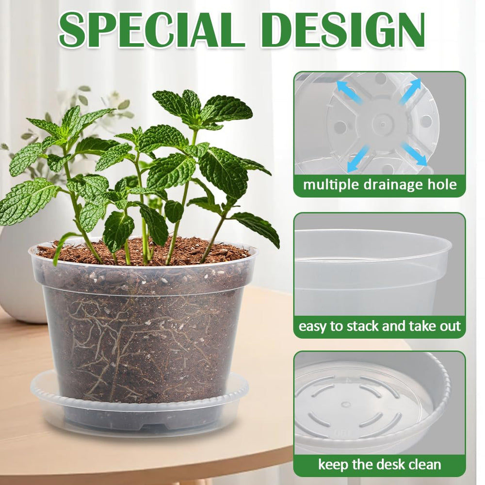 BTPLASTIK 6 inch clear nursery pot and tray set