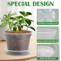 BTPLASTIK 6 inch clear nursery pot and tray set