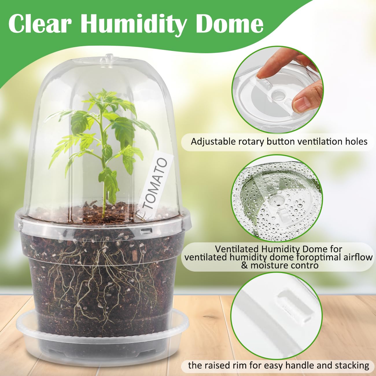 BTPLASTIK 6 inch clear nursery pot inside a garden setting