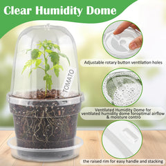 BTPLASTIK 6 inch clear nursery pot inside a garden setting