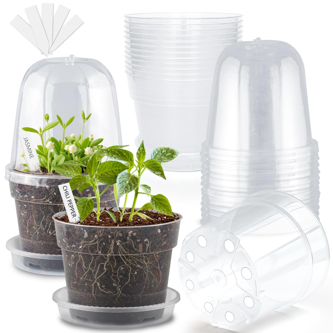 BTPLASTIK 6 inch clear nursery pot with humidity dome and saucer