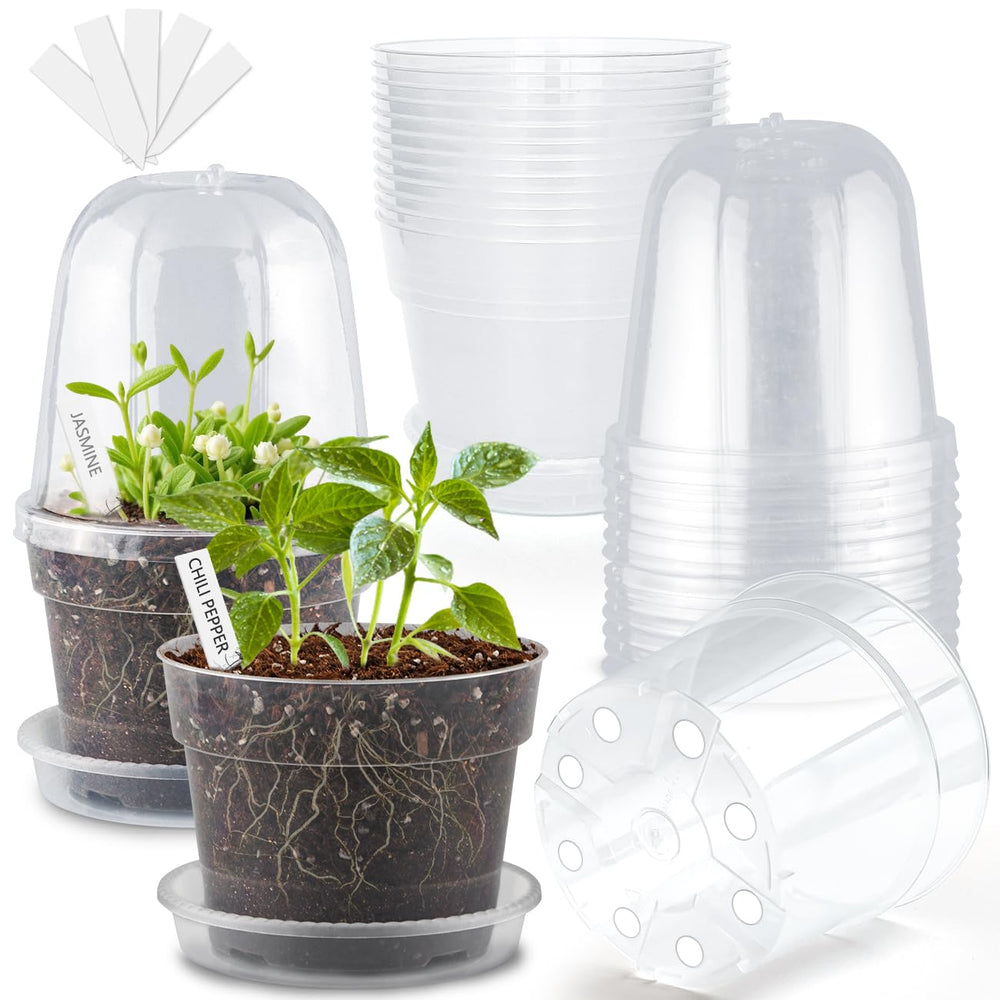 BTPLASTIK 6 inch clear nursery pot with humidity dome and saucer