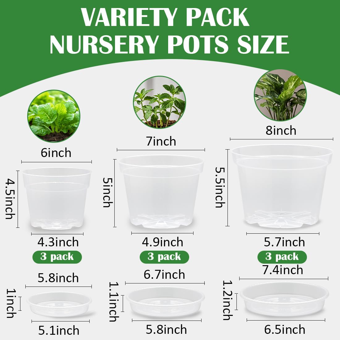 BTPLASTIK 7 inch clear nursery pot with drainage hole