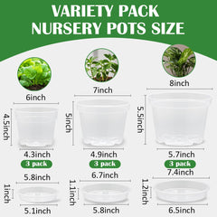 BTPLASTIK 7 inch clear nursery pot with drainage hole