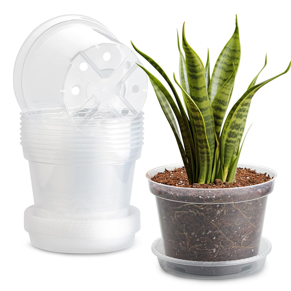 BTPLASTIK 8 inch clear nursery pot with matching saucer