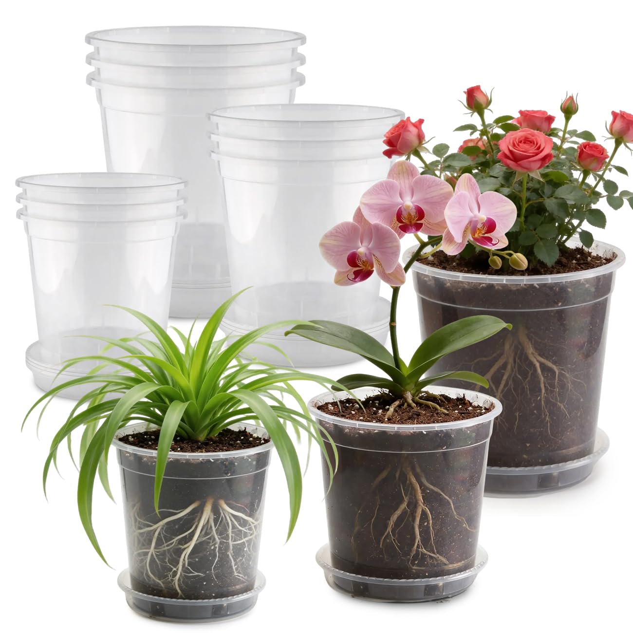 BTPLASTIK clear nursery pots set with saucers, 12 pots