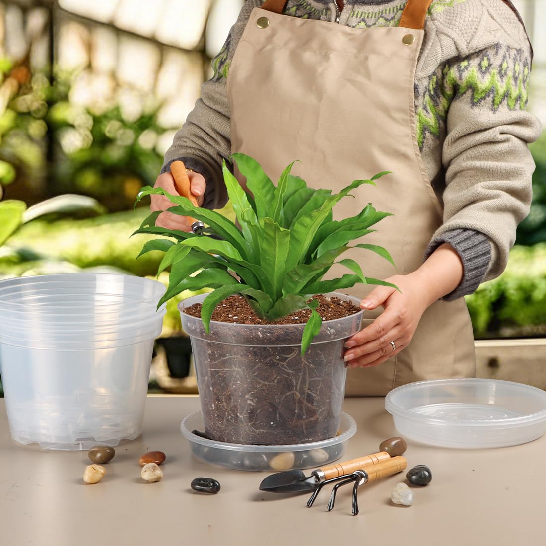 BTPLASTIK nursery pot on a garden windowsill