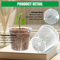 BTPLASTIK nursery pots showing drainage holes