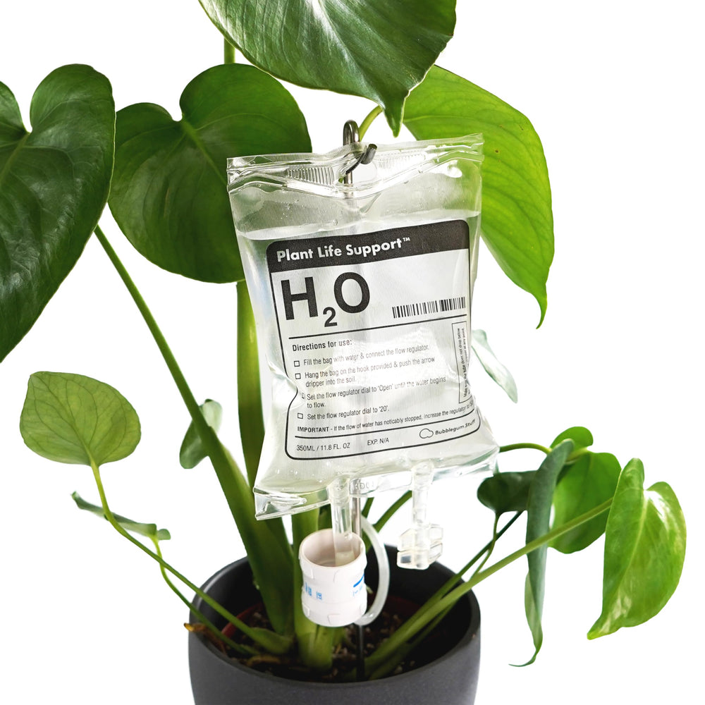 Bubblegum Stuff Plant Life Support automatic watering system with IV bag