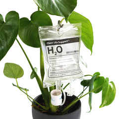 Bubblegum Stuff Plant Life Support automatic watering system with IV bag