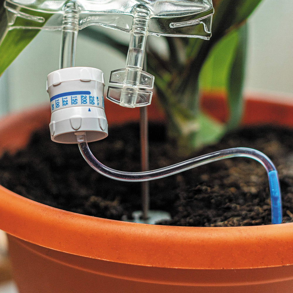 Bubblegum Stuff Plant Life Support packaging front view