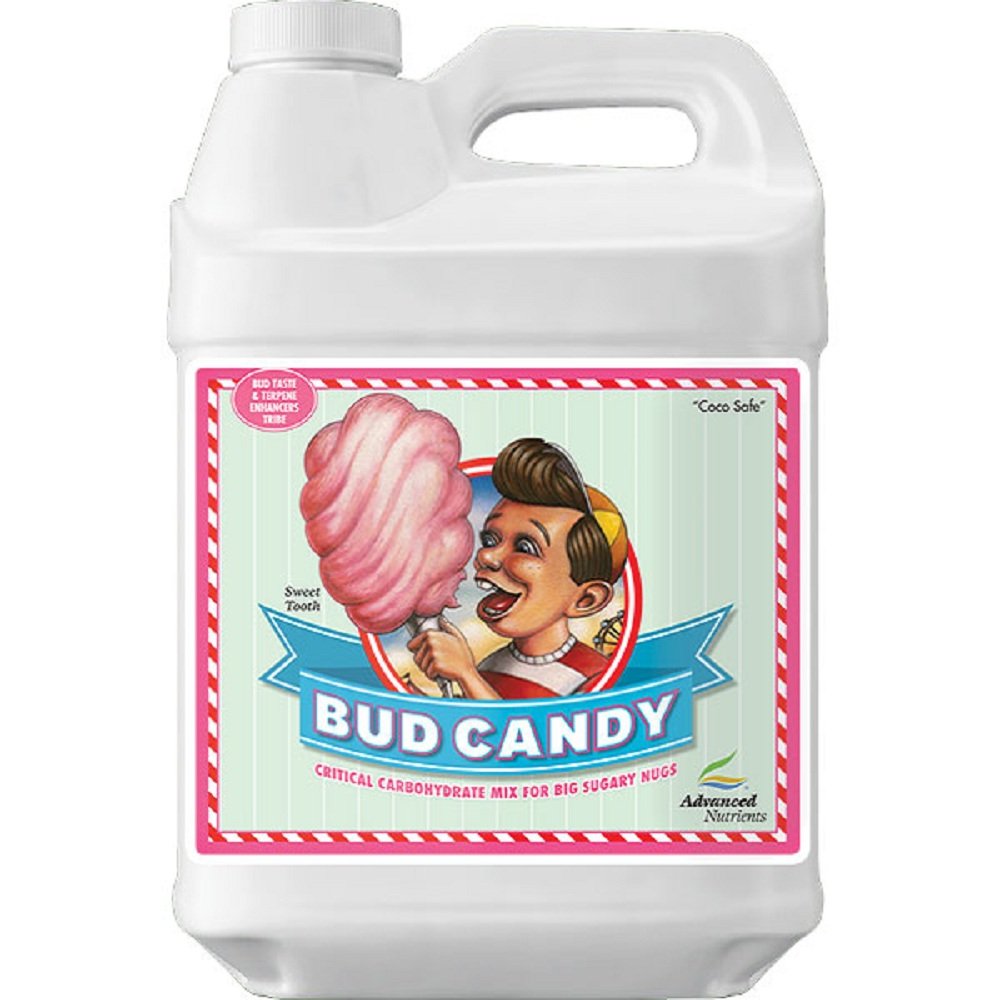 Bud Candy 250mL liquid carbohydrate supplement front view