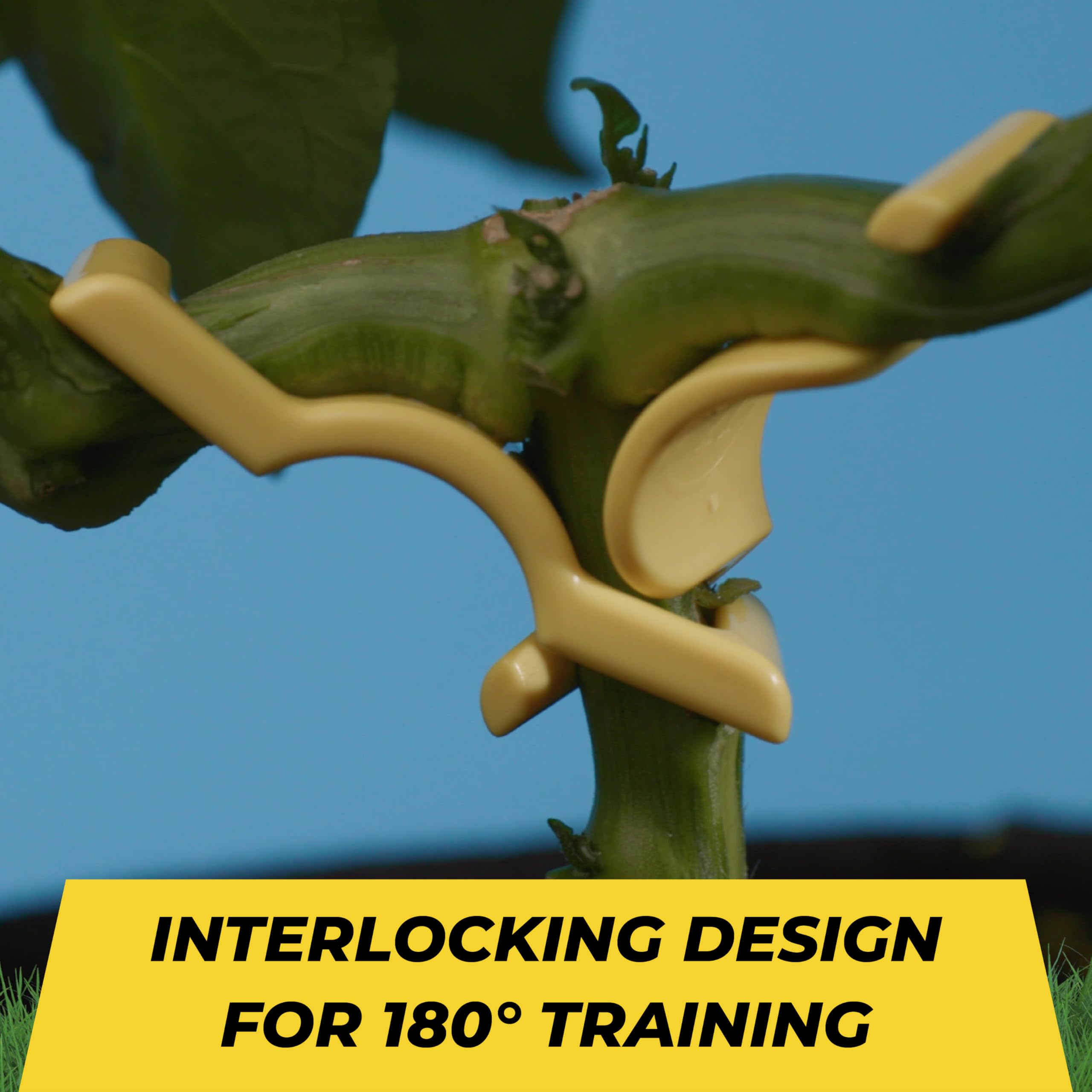 BudTrainer BudClips in use on a plant branch