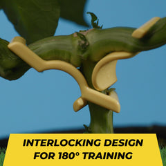 BudTrainer BudClips in use on a plant branch