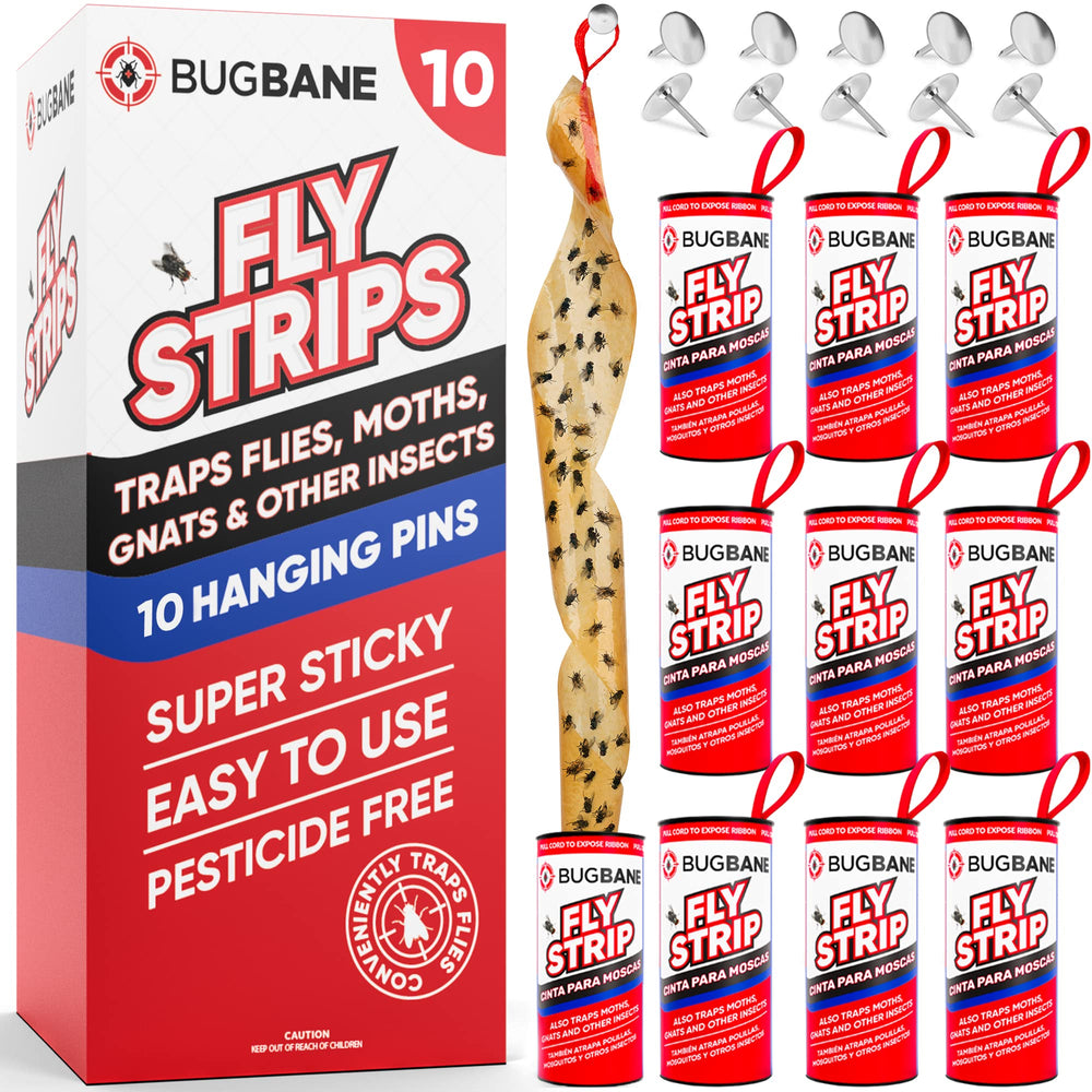 BugBane Fly Strips 10pk red sticky traps front view