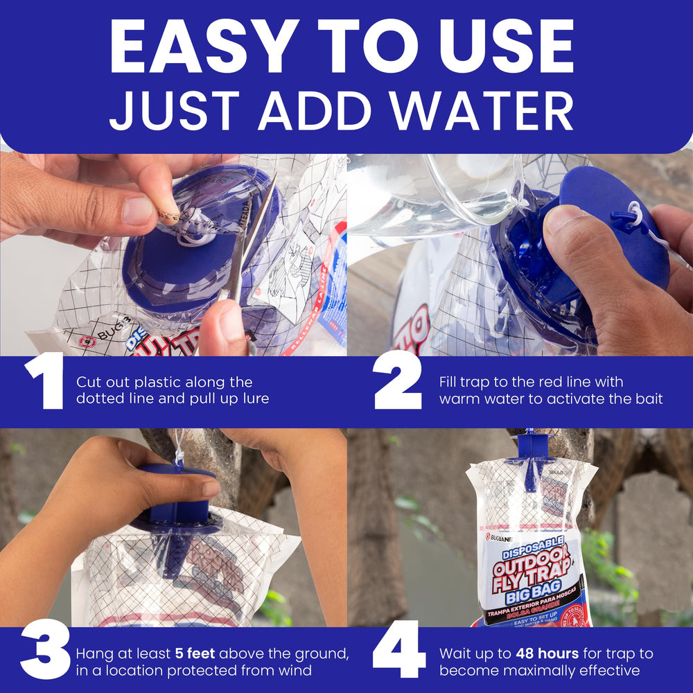 BugBane fly trap setup instructions
