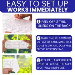 BugBane fly traps displayed in package