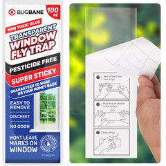 BugBane Window Fly Traps 100-Pack transparent sticky strips front view
