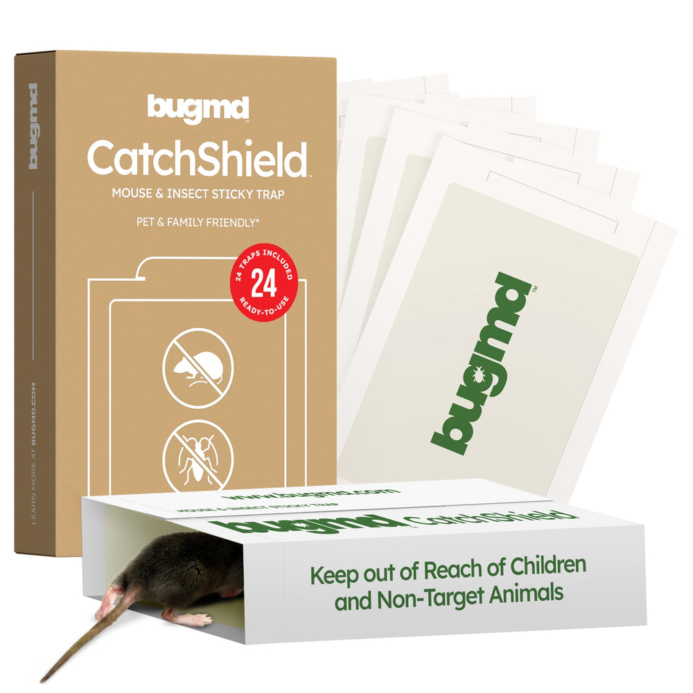 BugMD CatchShield Sticky Trap front view