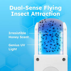 BugMD No Buzz Zone indoor trap with UV light glow in a kitchen