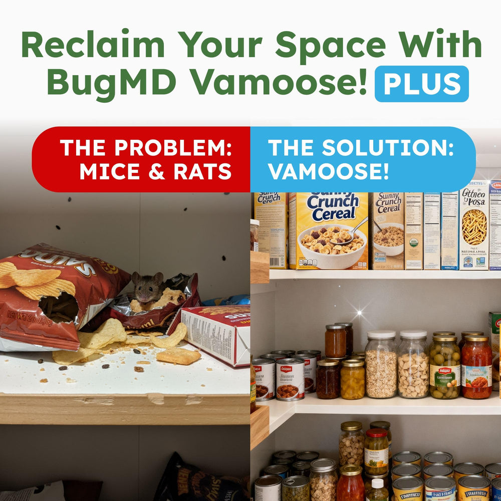 BugMD Vamoose! Peppermint Oil Mouse Repellent pouches in a garage