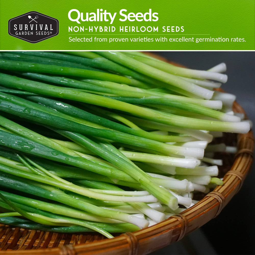 Bunching Onion seeds from SURVIVAL GARDEN SEEDS