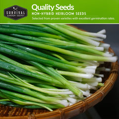 Bunching Onion seeds from SURVIVAL GARDEN SEEDS