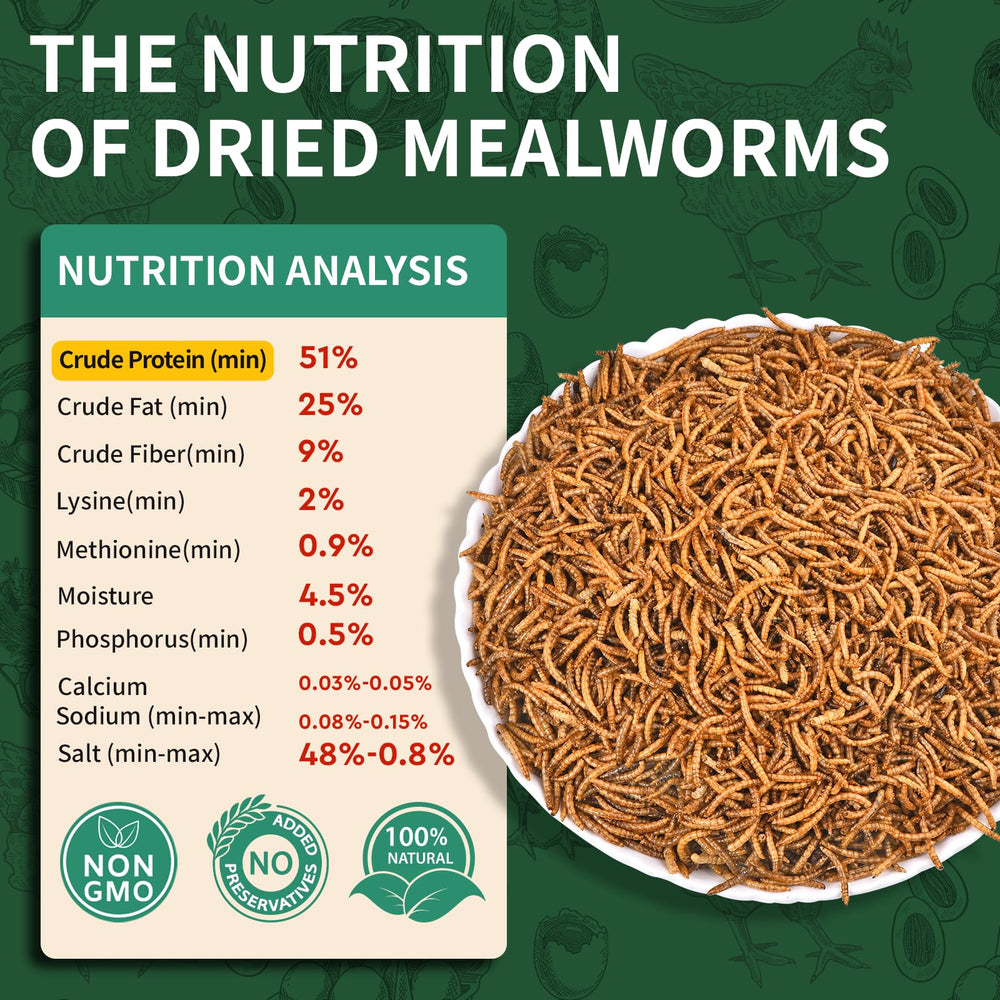 BUNTIE WORMS mealworms in use by chickens