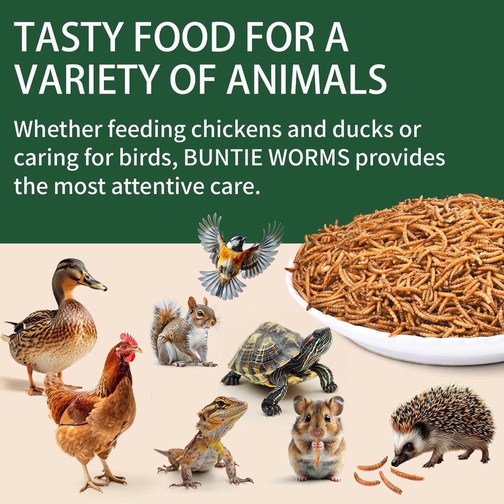 BUNTIE WORMS mealworms stored in kitchen pantry