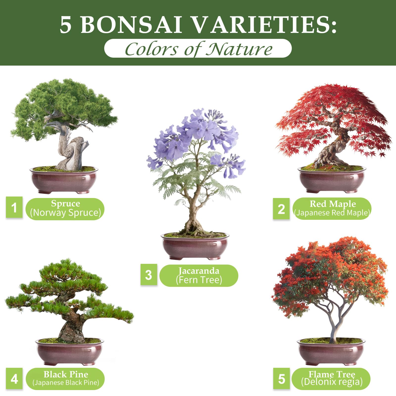 Burlap pots included in the ROOTCRAFT Bonsai Tree Kit