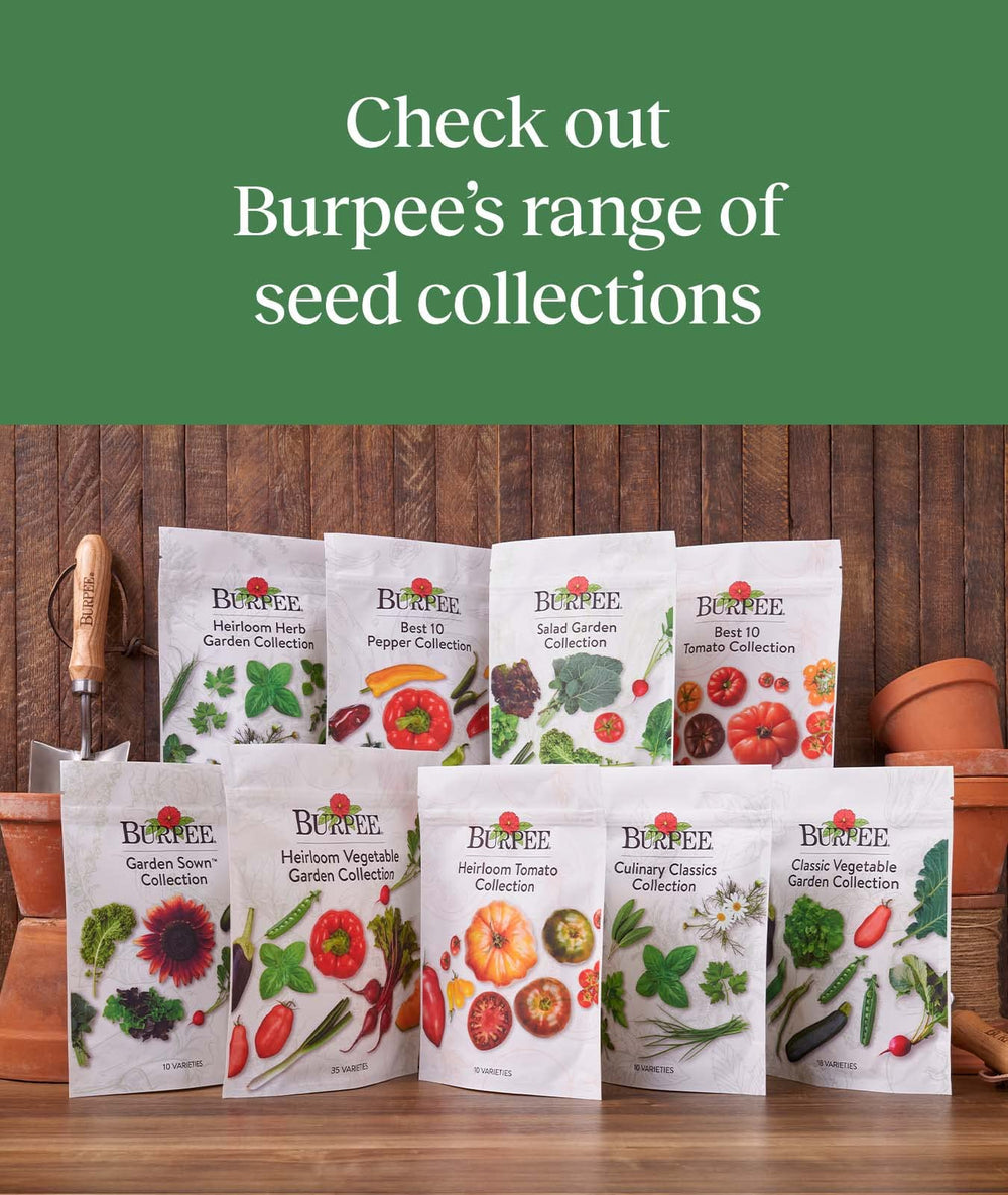 Burpee Best 10 Pepper Collection packaging and seeds