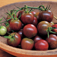 Burpee Black Pearl Cherry Tomato Seeds packet front view