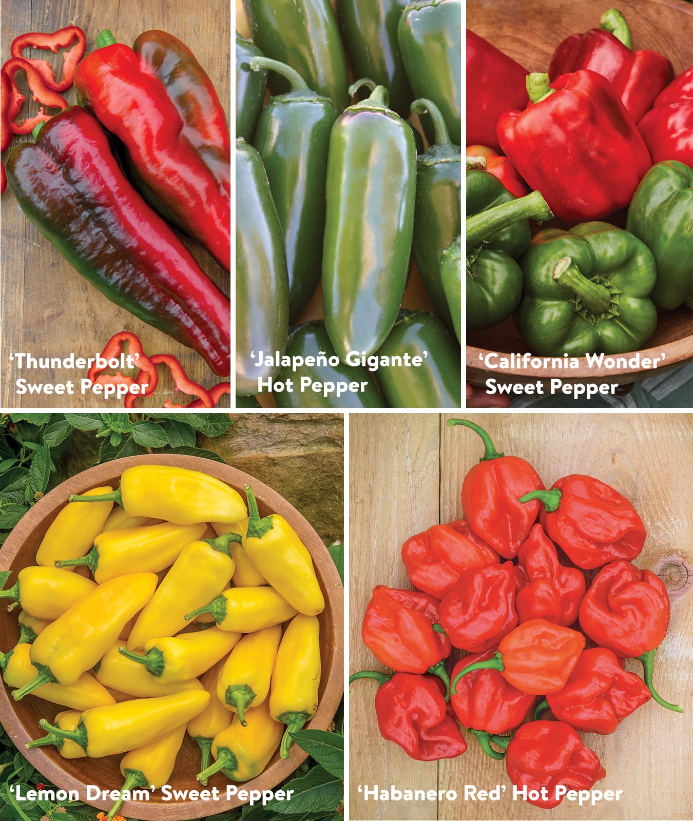 Burpee cayenne pepper seeds in a packet