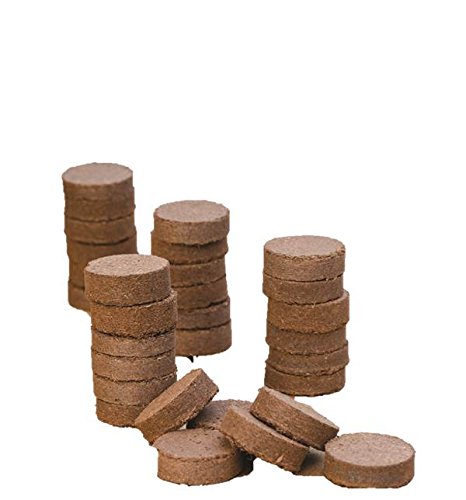 Burpee Coir XL Super Growing Pellets 32 Count pack front view