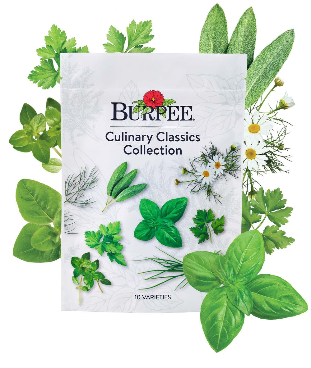 Burpee Culinary Classics Herb Collection front view with seed packets