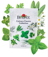 Burpee Culinary Classics Herb Collection front view with seed packets