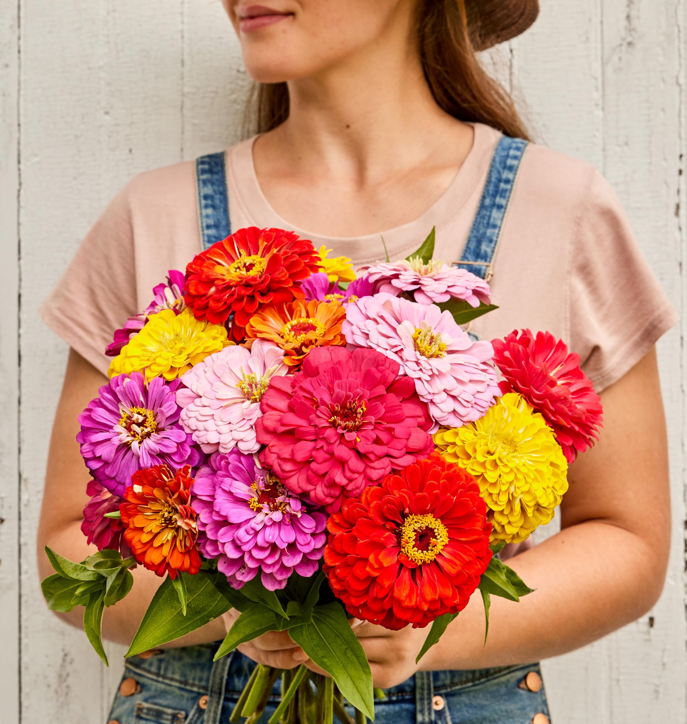 Burpee Giant Flowered Zinnia seeds in soil