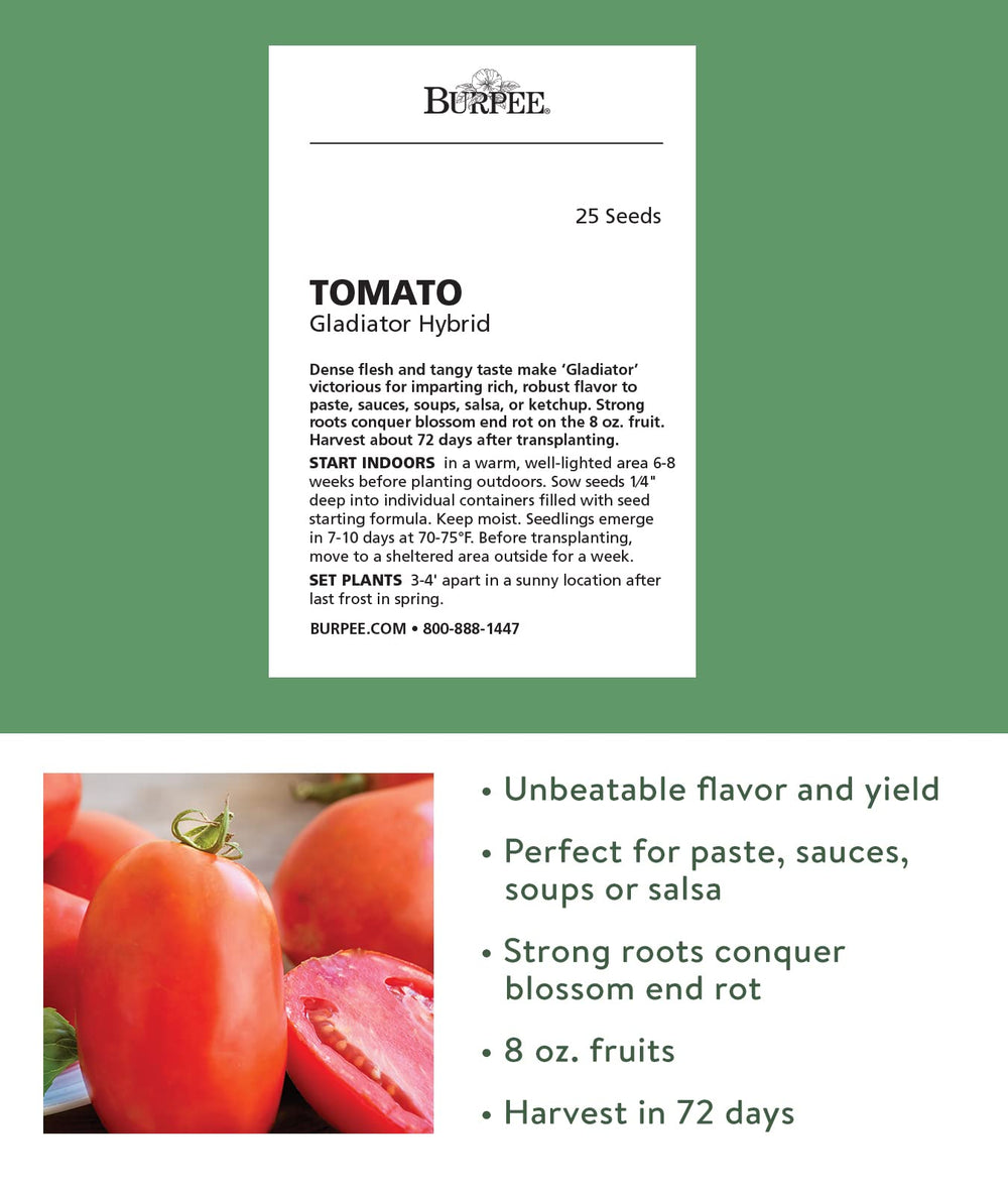 Burpee Gladiator Roma Tomato Seeds close-up of seeds