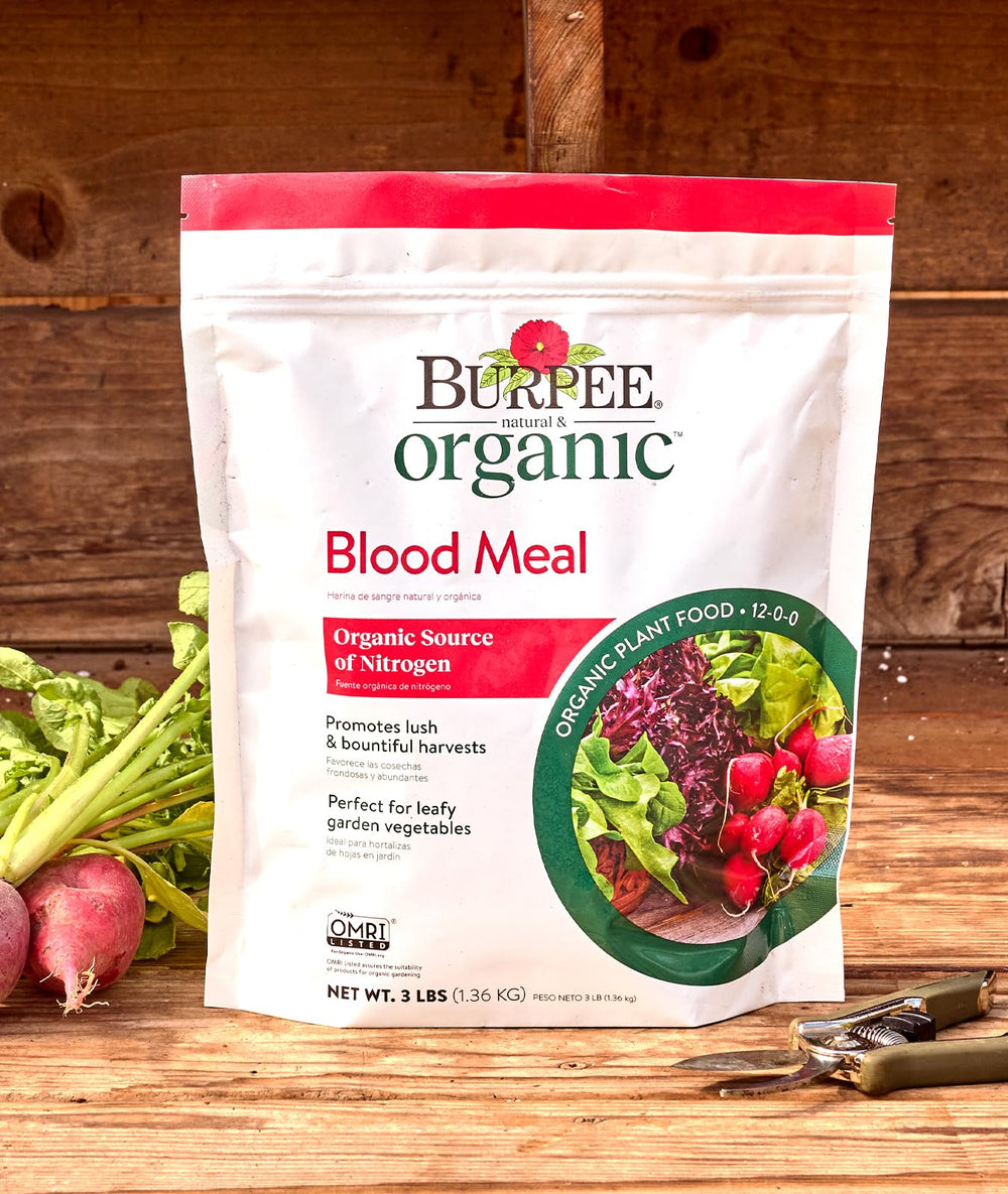 Burpee Organic Blood Meal Fertilizer back view with ingredient details