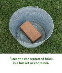 Burpee Organic Coconut Coir Seed Starting Mix in garden setting