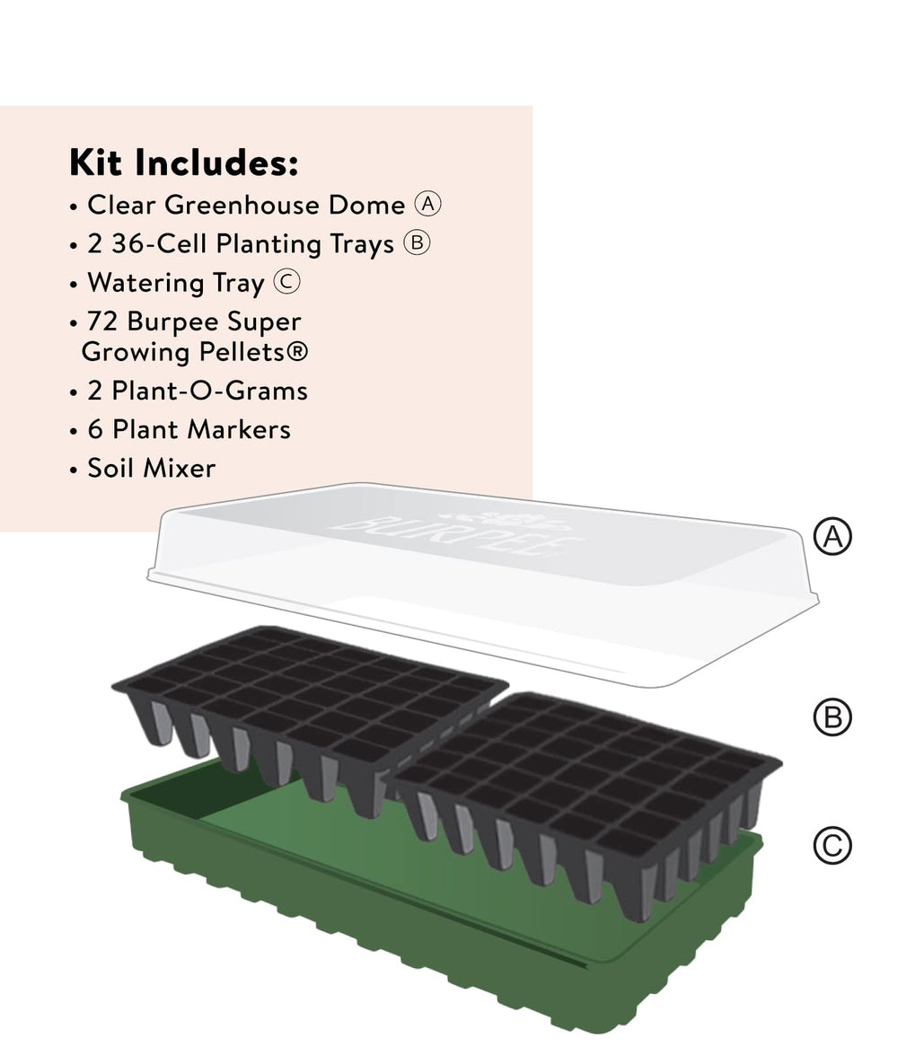 Burpee seed starting kit setup on a windowsill
